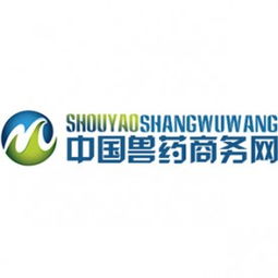 計(jì)算機(jī)軟硬件技術(shù)開發(fā) 企業(yè)核心競(jìng)爭力的構(gòu)建與未來展望